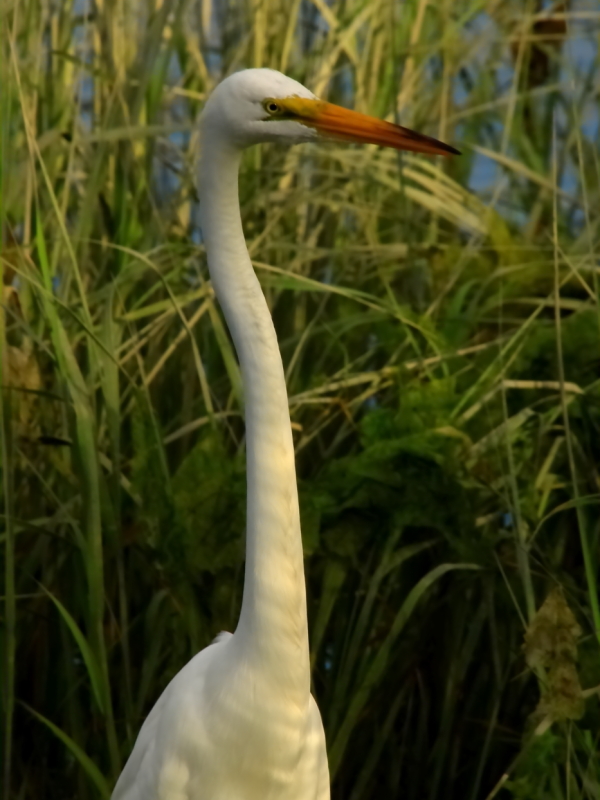 2010 07 01 IMG 02670